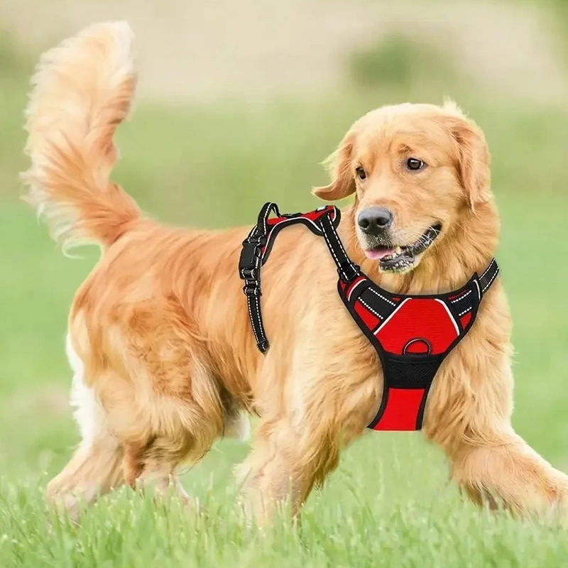 Harnais chien rouge réglable sécurisé