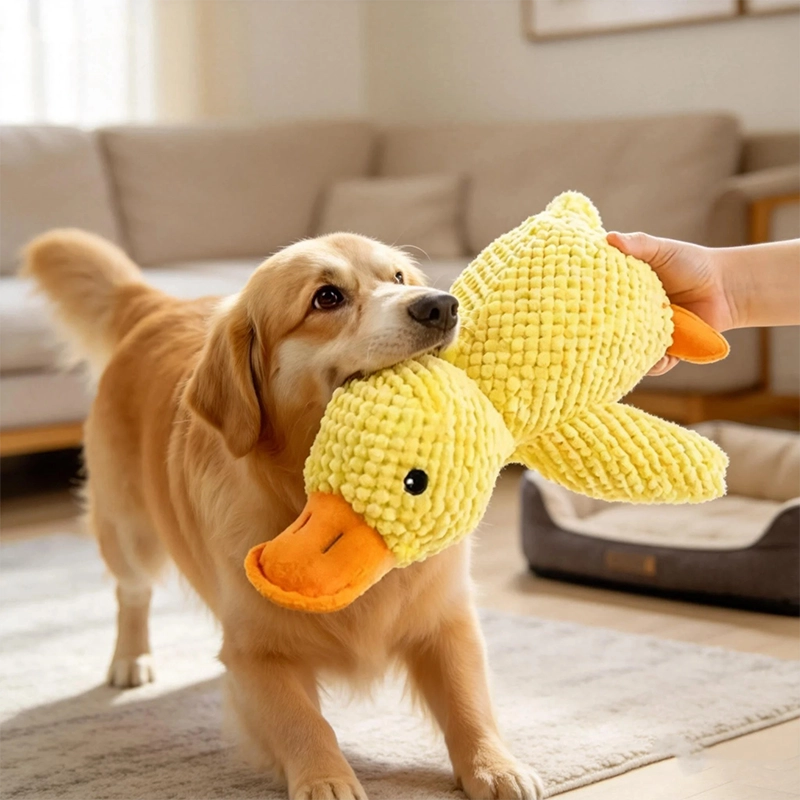 Jouet peluche canard résistant chien moyen