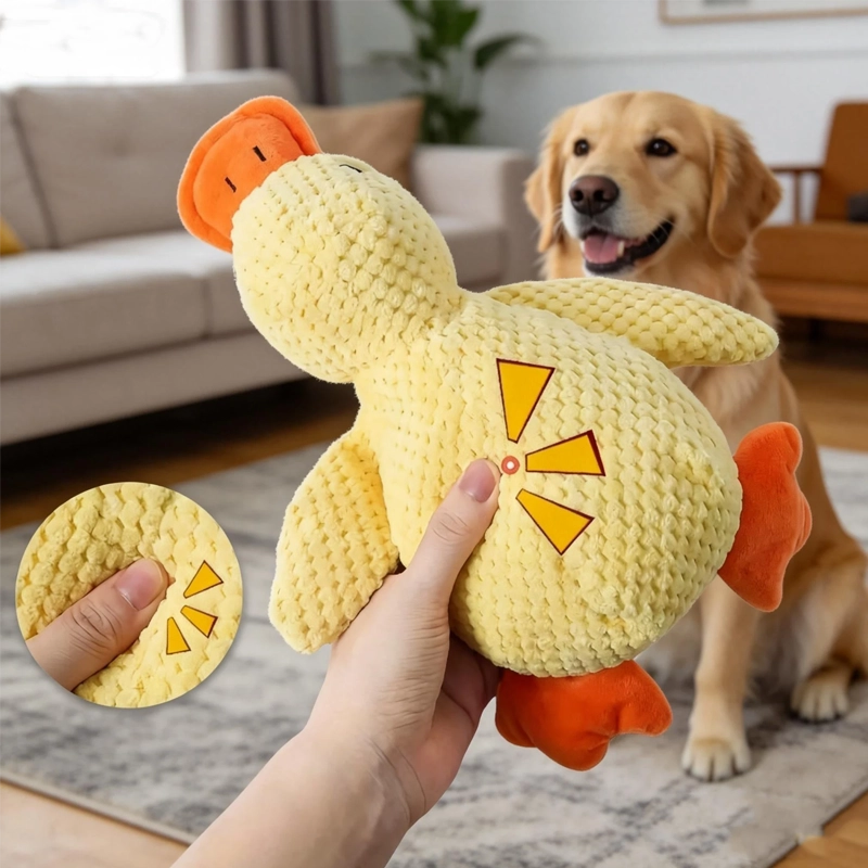 Jouet peluche canard résistant chien moyen