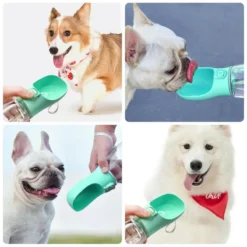 Bouteille eau portable chien chat promenade
