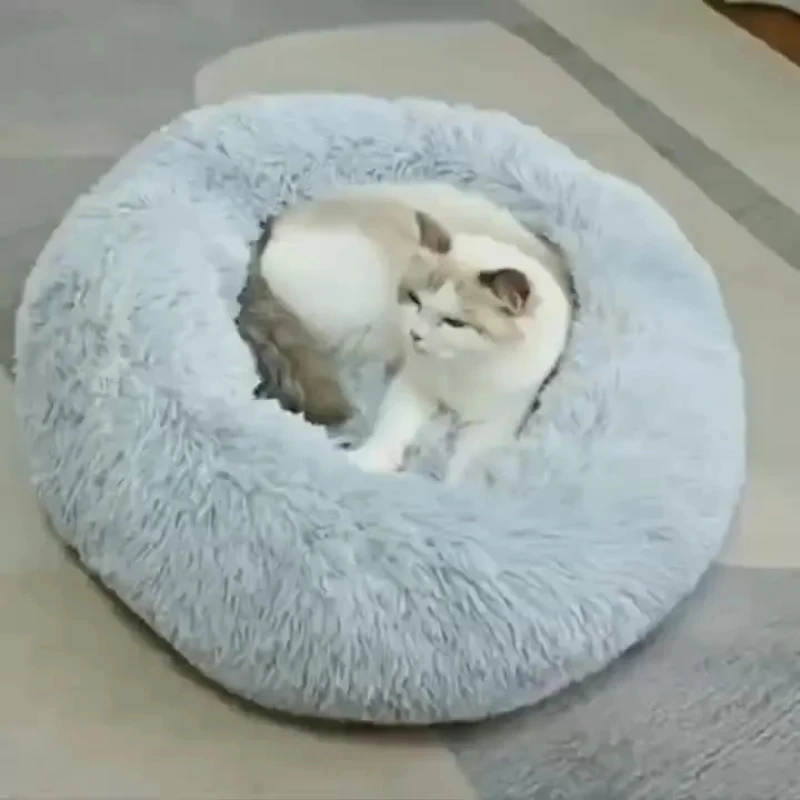 Lit chat chien peluche rayé confortable